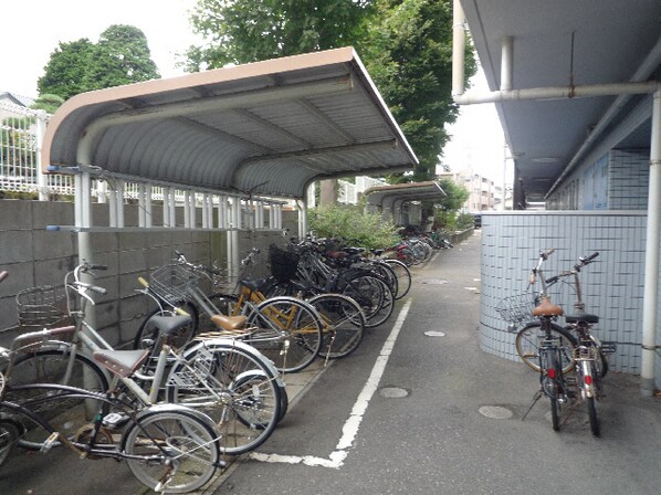 新潟駅 徒歩13分 3階の物件外観写真